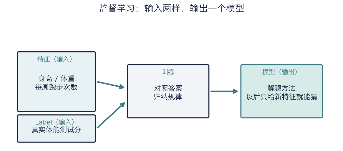 特征与 Label 输入,训练后输出模型